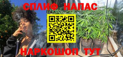 стафф Ставрополь