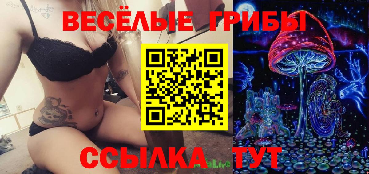 Галлюциногенные грибы ЛСД  Вход с VPN  Нерюнгри 